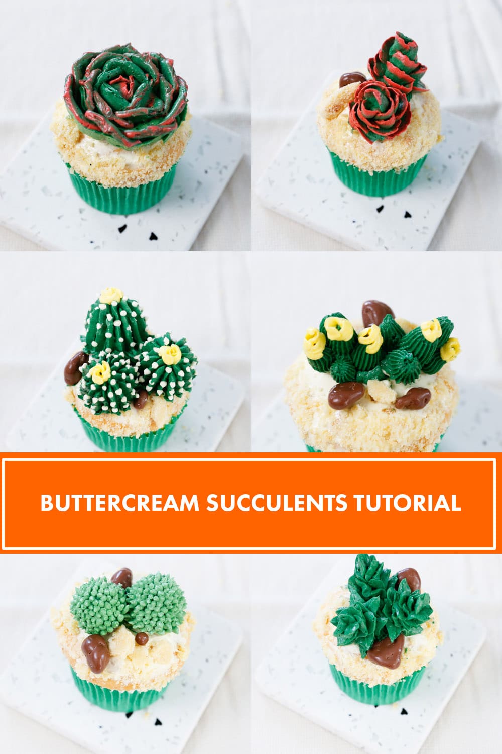 6 Succulents Cupcakes Tutorial